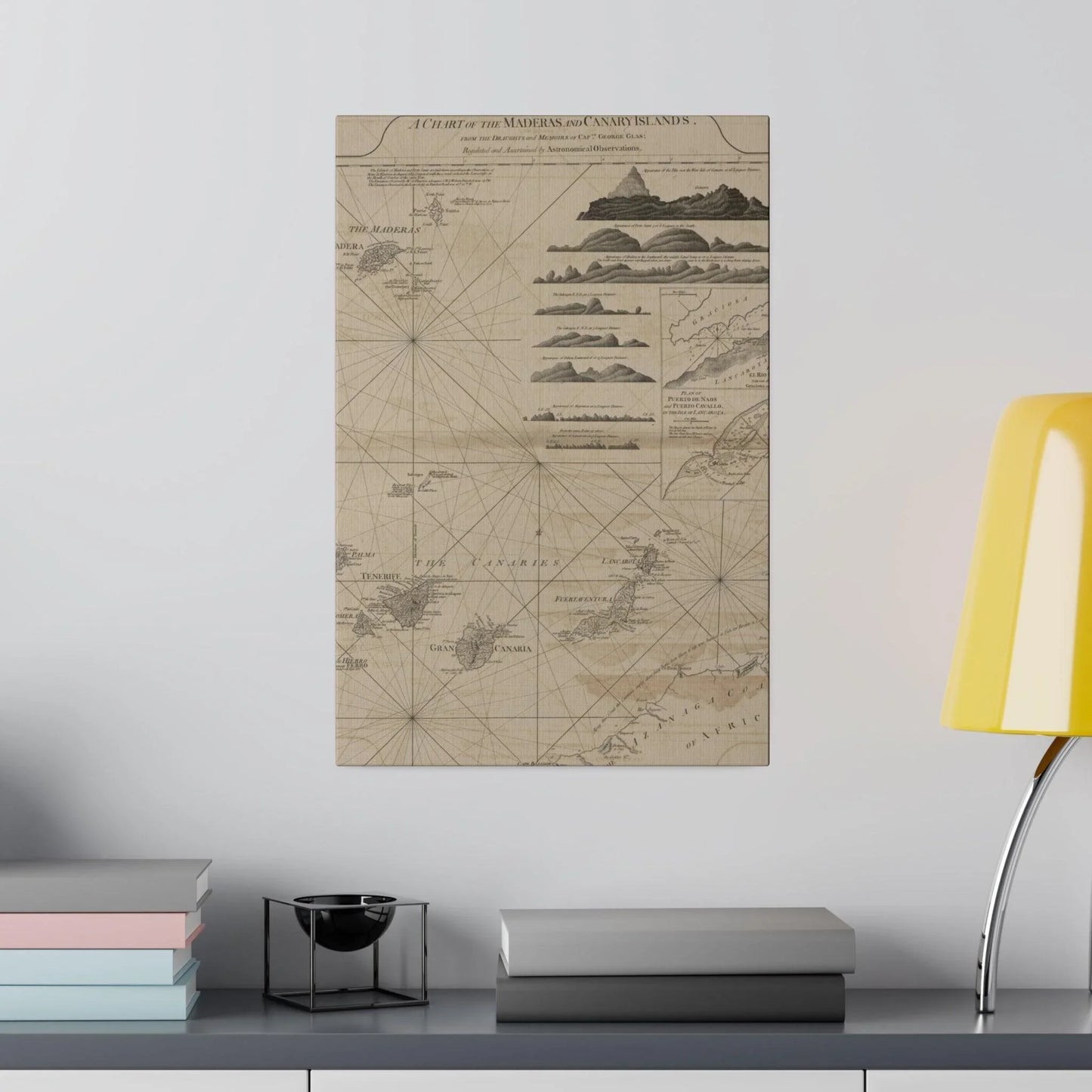 Detailed overhead view highlighting vibrant color variations and intricate map labels on the Canvas print of the Maderas and
