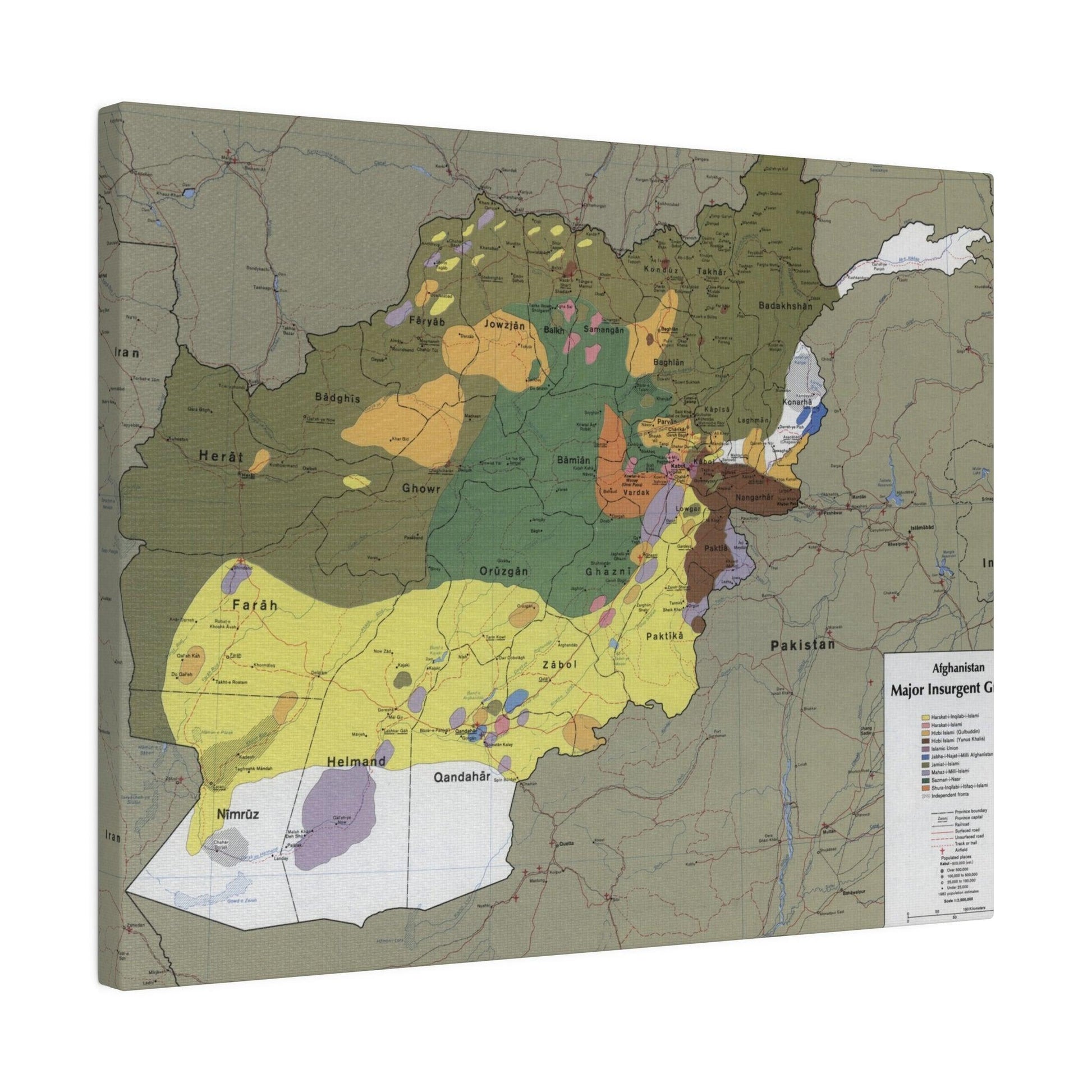 Close-up of canvas texture highlighting detailed print of insurgent group symbols and aged color tones from 1985 era.