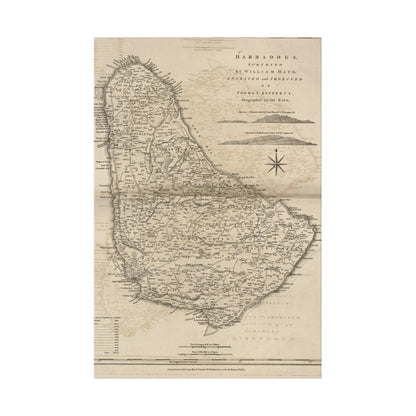 Close-up of the textured canvas surface showcasing subtle weave details and a warm natural beige finish of the Barbadoes