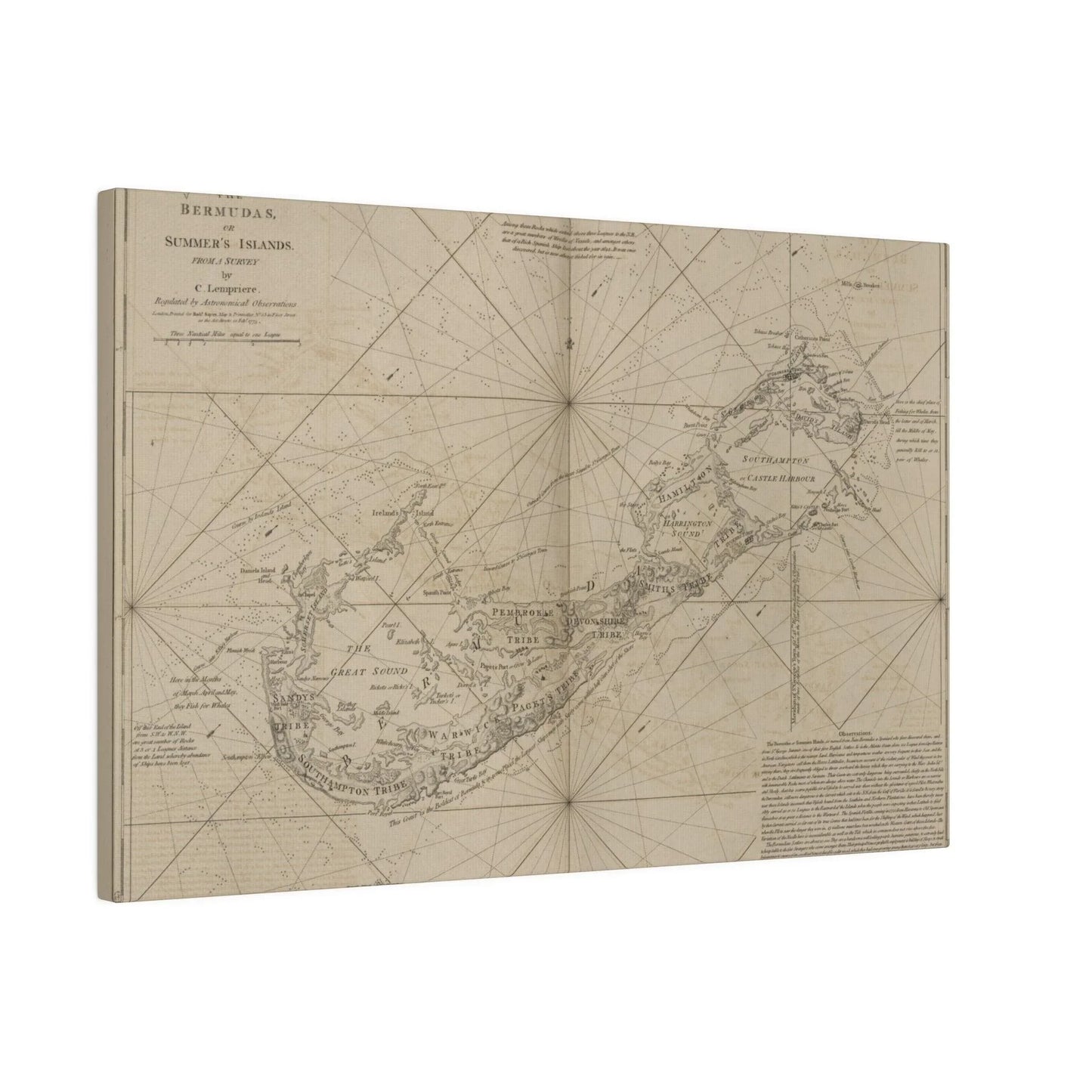 The Bermudas - Pacific Sky Games