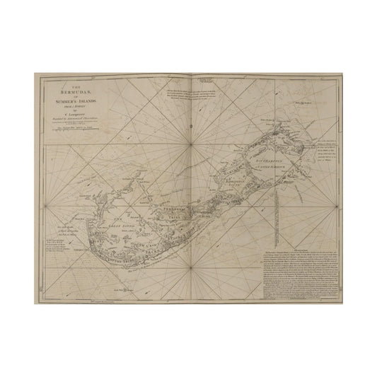 The Bermudas - Pacific Sky Games