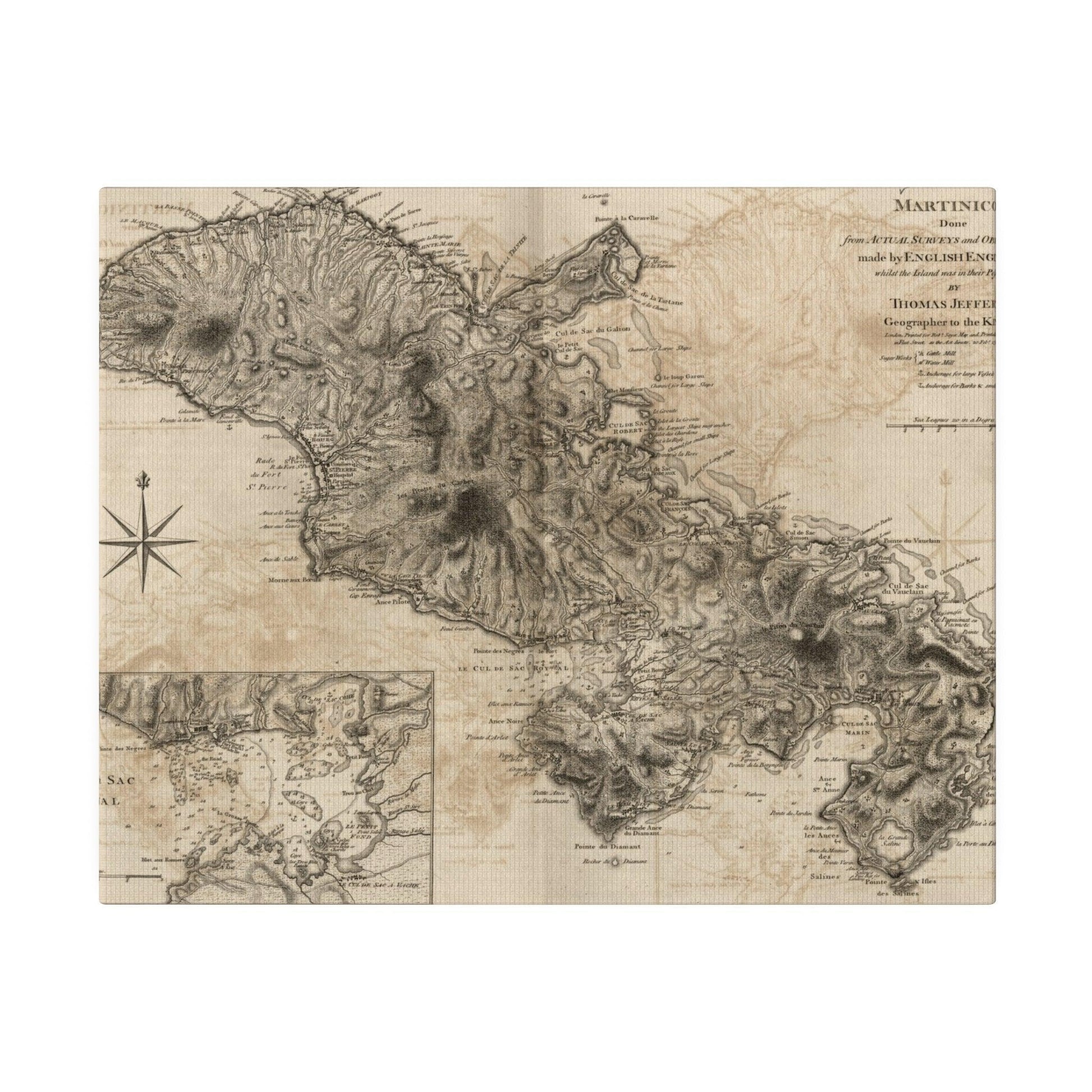 Close-up of the Martinico canvas showing textured surface and subtle color variations in warm beige tones