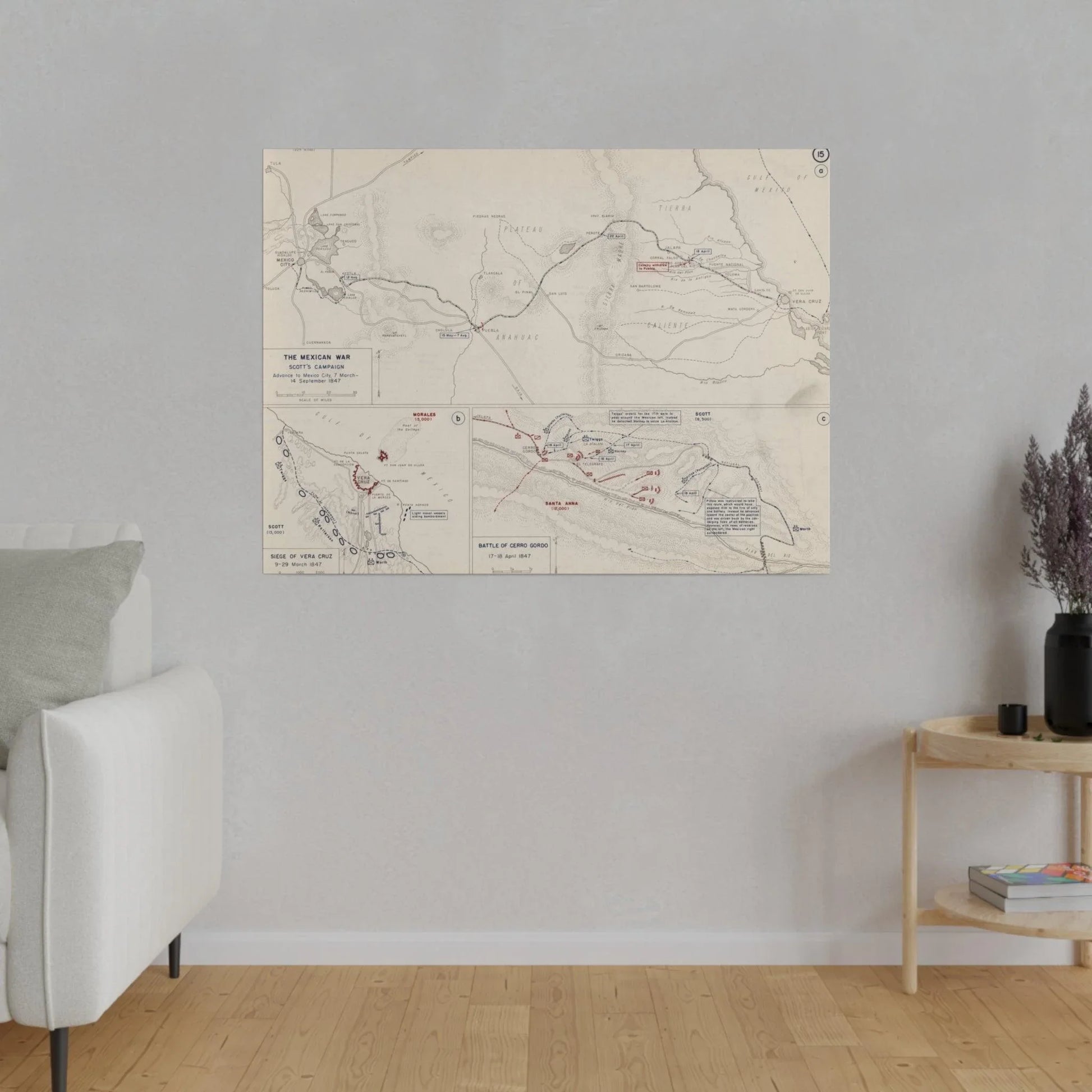 Close-up of detailed canvas texture highlighting aged, worn finish and subtle color variations on the Mexican War campaign