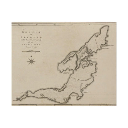 Close-up of textured canvas material showing detailed weave and natural fiber finish for Bequi or Becouya product.