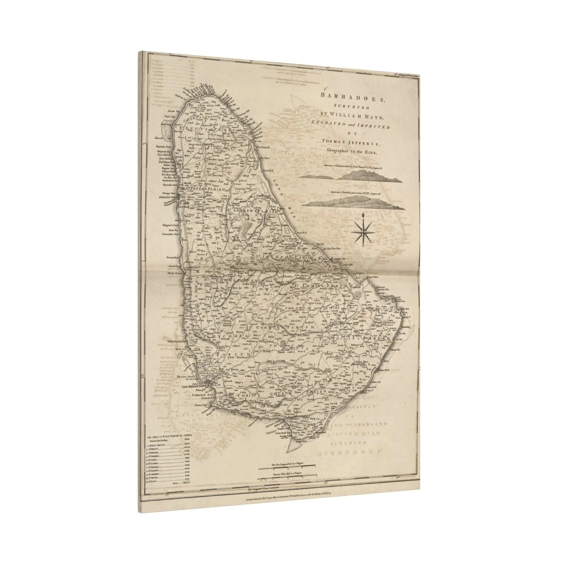 Close-up of the Barbadoes canvas texture highlighting fine weave and matte finish on a 24"x36" piece.