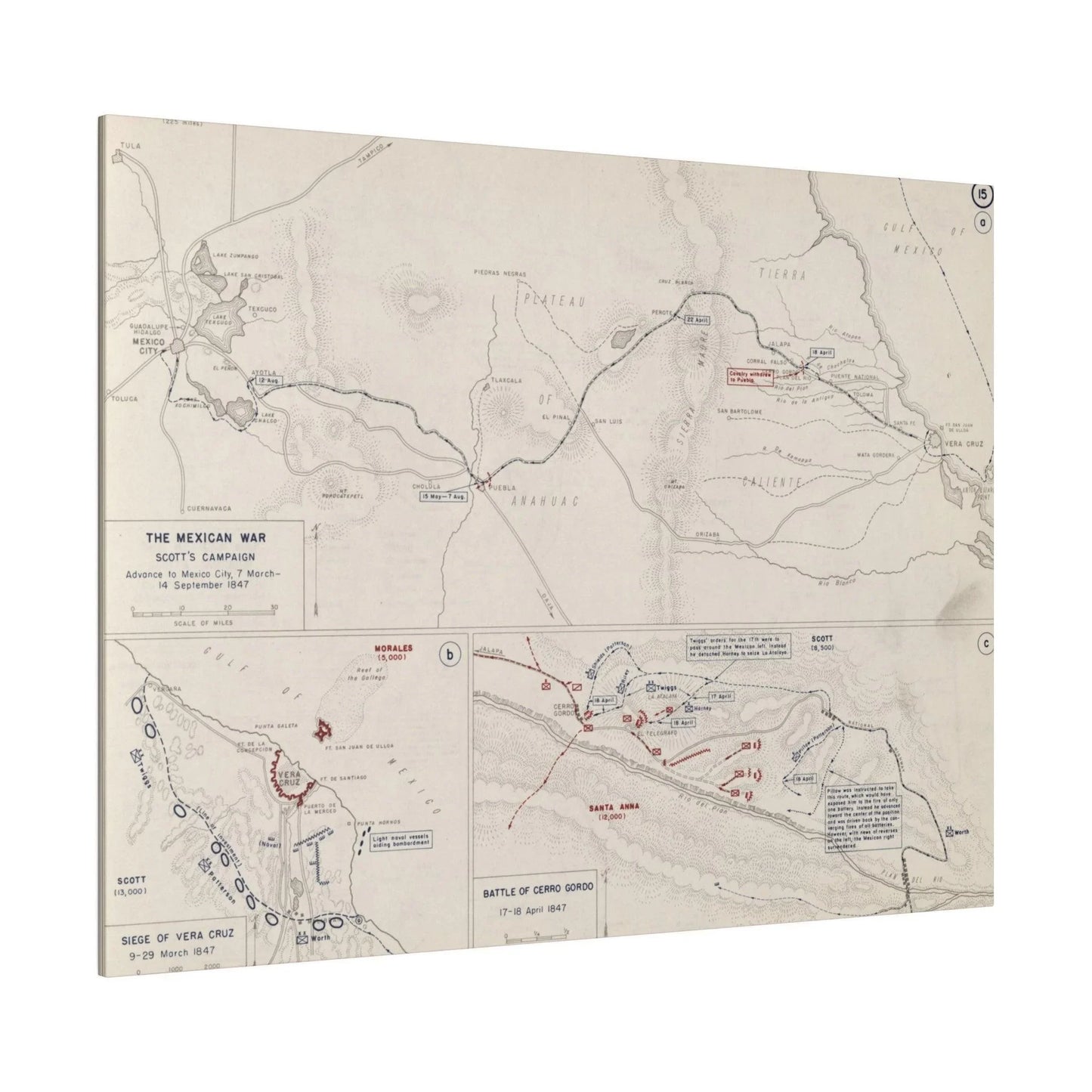 Close-up of textured canvas featuring detailed brushstrokes and subtle color variations from the Mexican War, Scott's