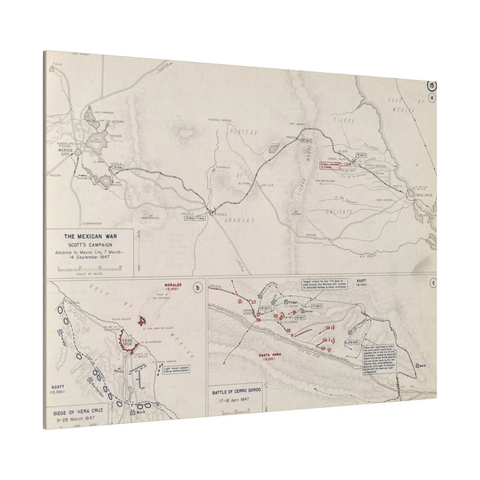 Close-up of textured canvas featuring detailed brushstrokes and subtle color variations from the Mexican War, Scott's