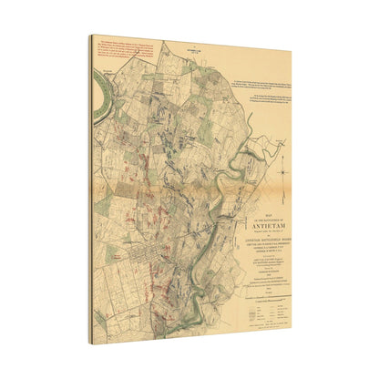 Close-up of the canvas texture highlighting detailed brushstroke patterns and subtle color variations of the Antietam