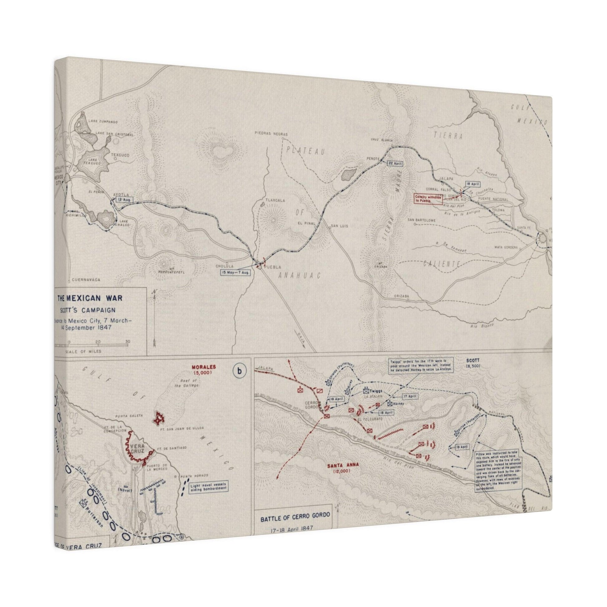 Close-up of the canvas texture highlighting brushstrokes and detail of the 1847 Mexican War Scott's Campaign artwork.