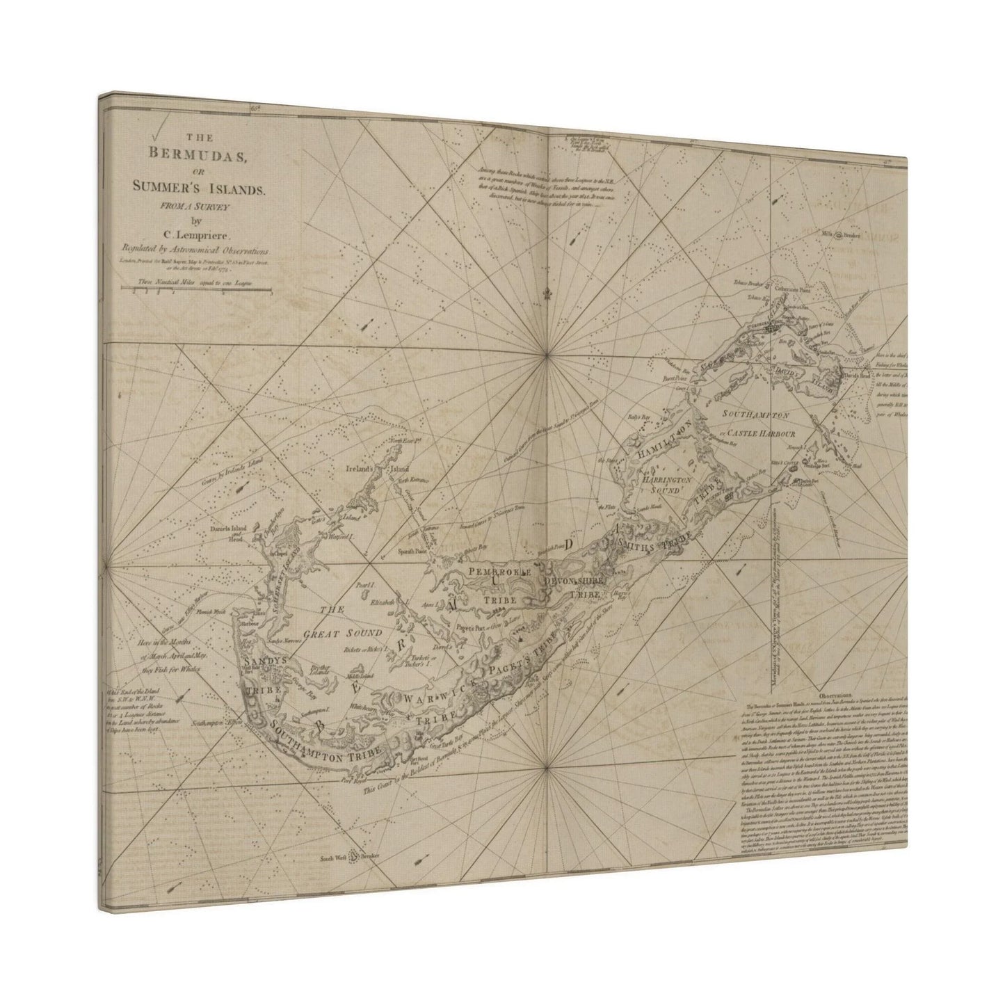 The Bermudas - Pacific Sky Games