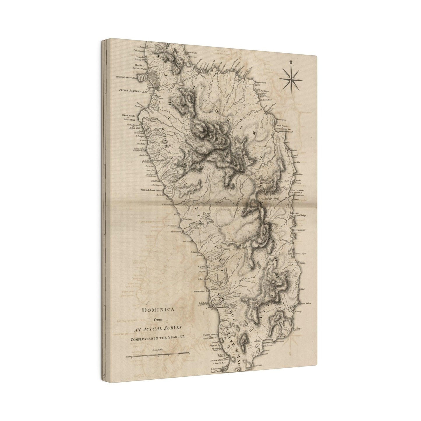 Close-up of the Dominica canvas showing textured weave and subtle color variations in warm beige tones.