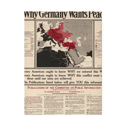 Why Germany Wants Peace 1917 - Pacific Sky Games