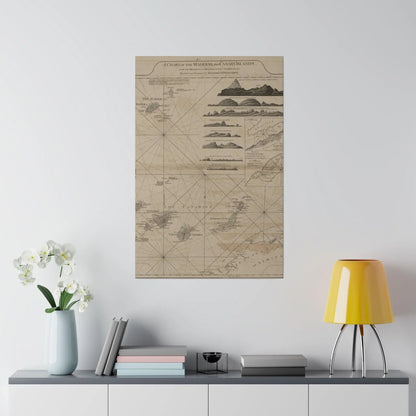 Close-up of the detailed vintage map edge highlighting intricate Latin-inspired cartouche and textured canvas finish