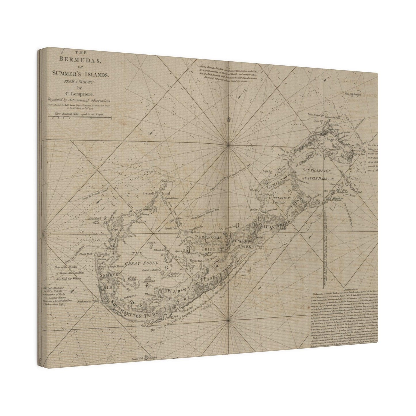 The Bermudas - Pacific Sky Games