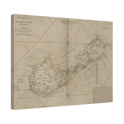 The Bermudas - Pacific Sky Games