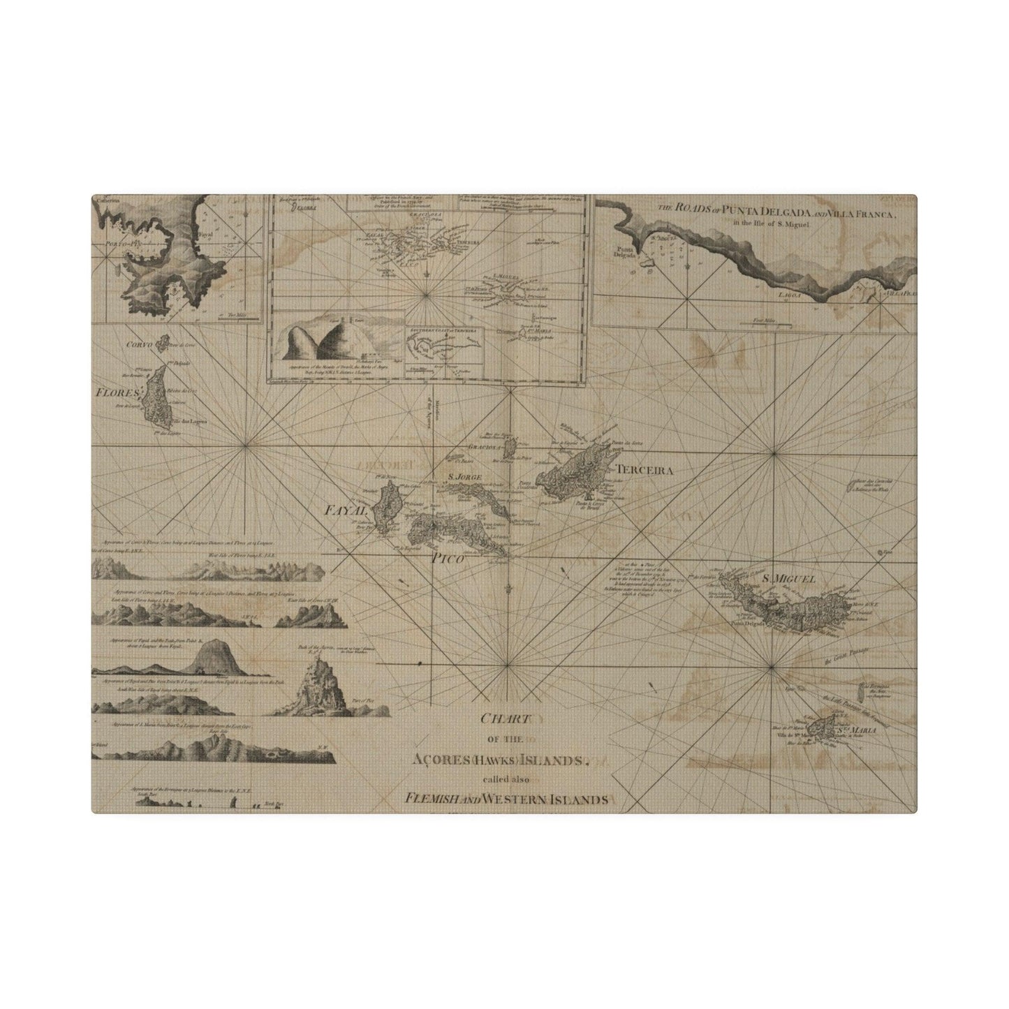 Close-up of the vibrant coral-colored coastline with detailed island contours and textured canvas finish.