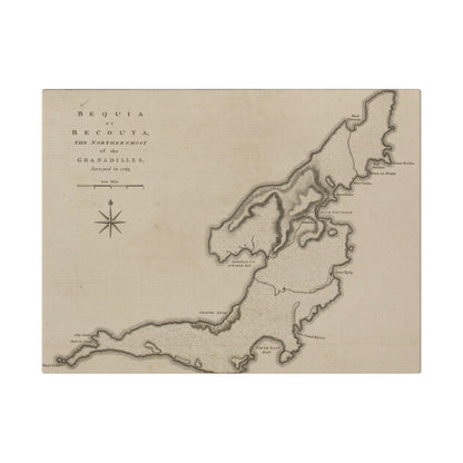 Close-up of textured canvas fabric highlighting fine weave and subtle natural color variations for Bequi or Becouya.