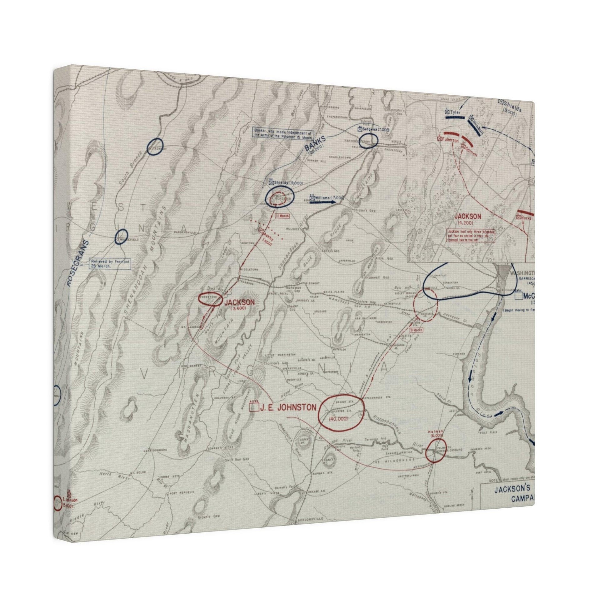 Close-up of detailed canvas texture showing aged, faded coloration and subtle brushstrokes from the Jackson's Valley