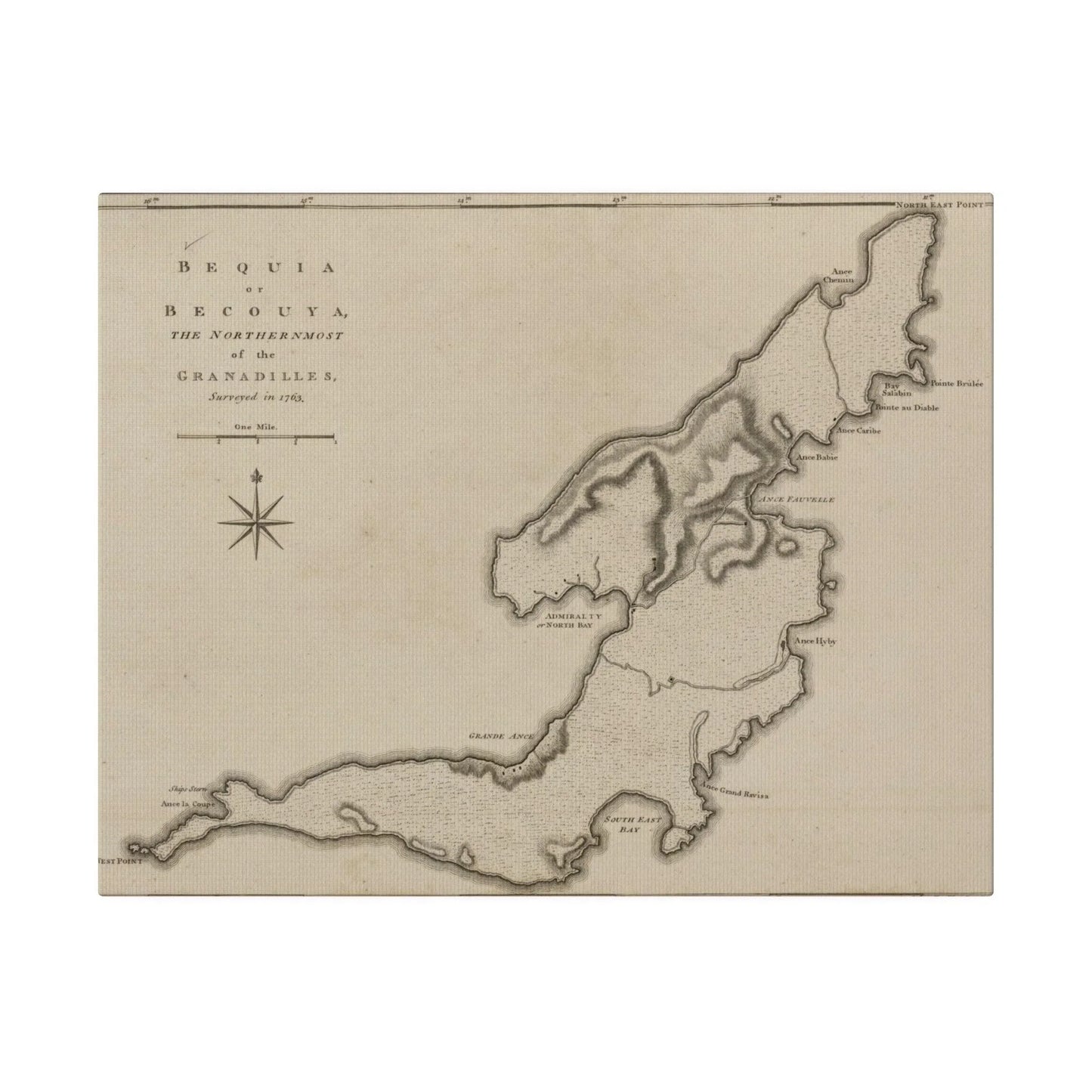 Close-up of the canvas material’s textured surface showing subtle fiber details and matte finish in natural light