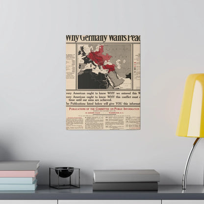 Why Germany Wants Peace 1917 - Pacific Sky Games