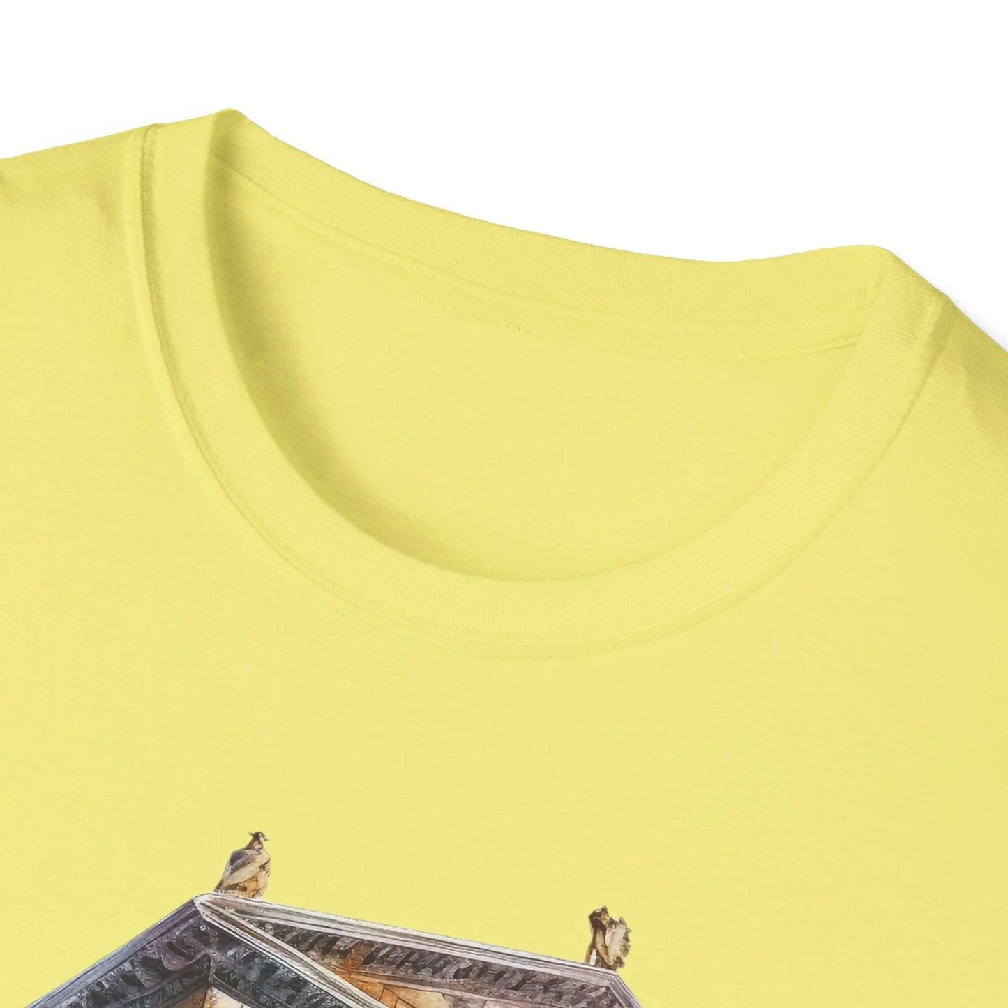 Close-up of the unisex softstyle T-shirt's heather gray fabric, highlighting the smooth texture and subtle stitching detail