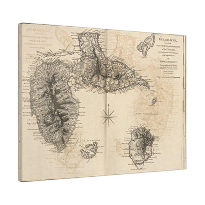 Close-up of textured canvas fabric highlighting the rustic, brushstroke finish and warm ochre color of the Guadaloupe piece.