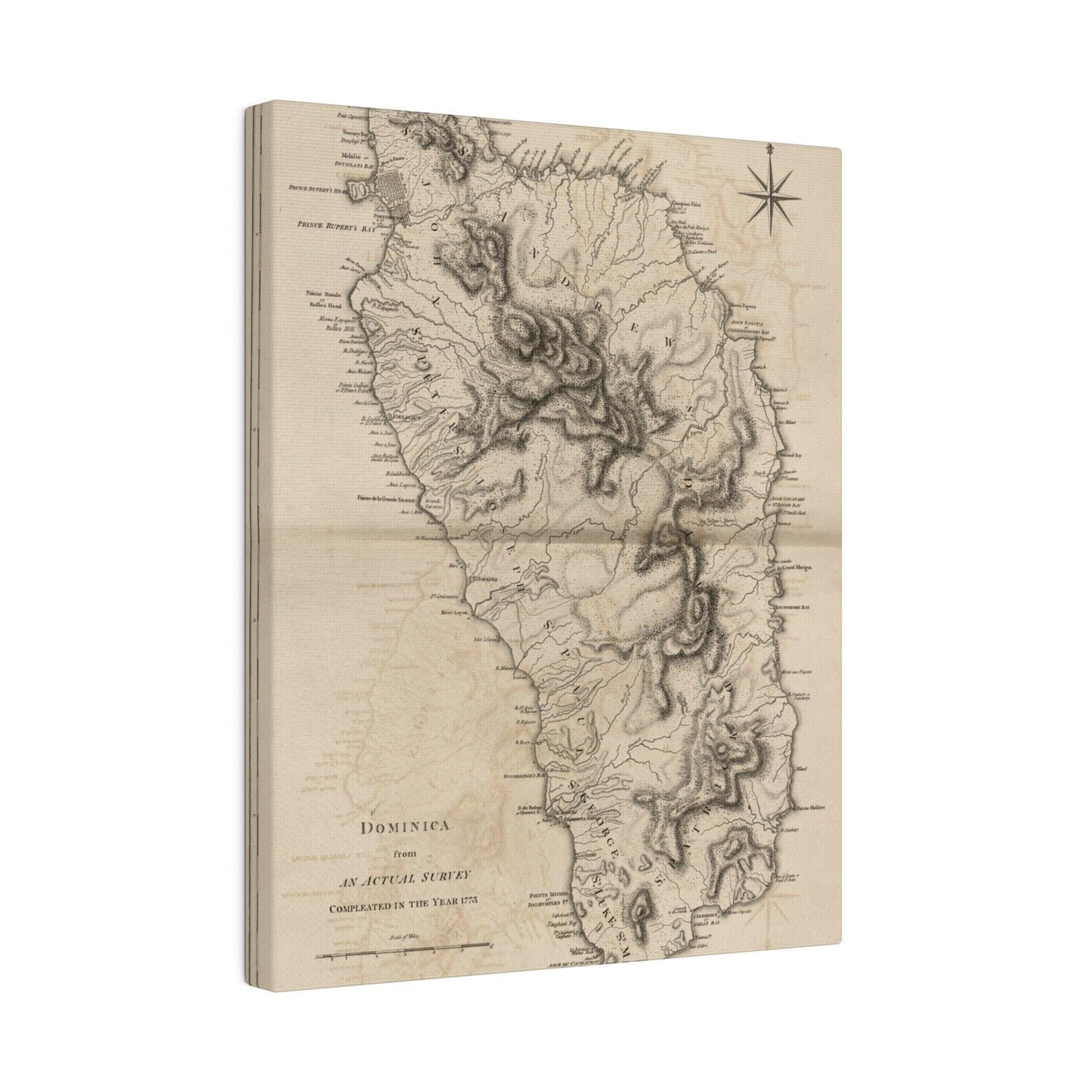 Close-up of the textured canvas surface highlighting subtle weave patterns and matte finish in natural beige tones.