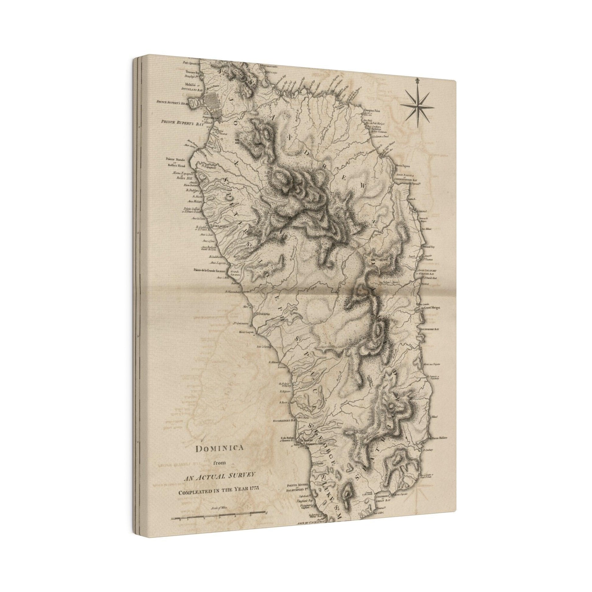 Close-up of the textured canvas surface highlighting subtle weave patterns and matte finish in natural beige tones.