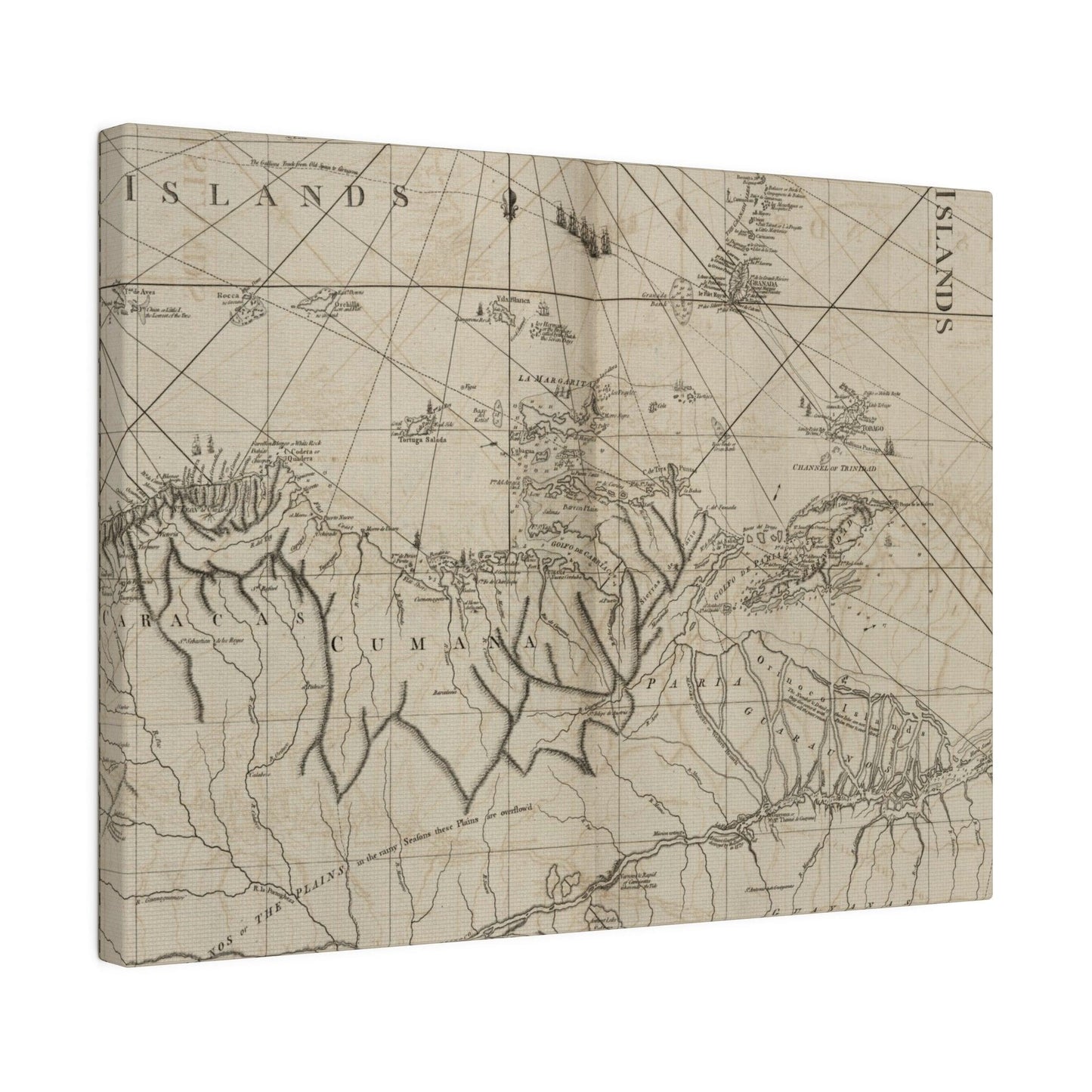 Close-up of the textured canvas depicting the vibrant coastline with detailed brushstrokes of Caracas and Cumana shores