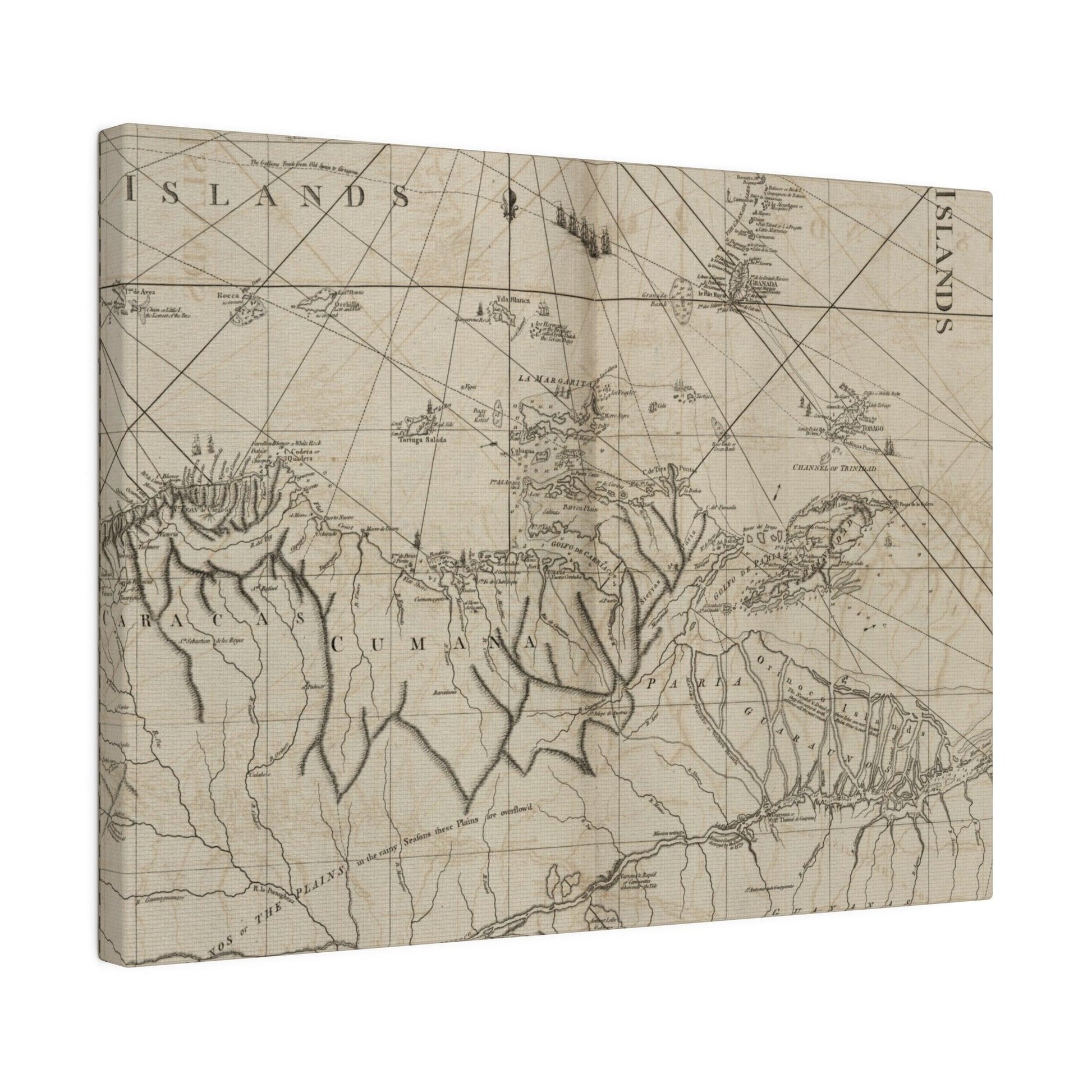 Close-up of the textured canvas depicting the vibrant coastline with detailed brushstrokes of Caracas and Cumana shores