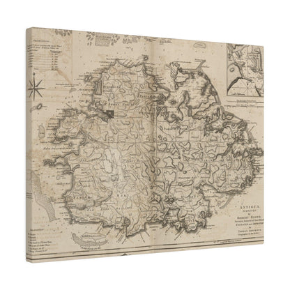 Close-up of the Antigua canvas fabric's textured surface showing subtle weave patterns and natural fiber details