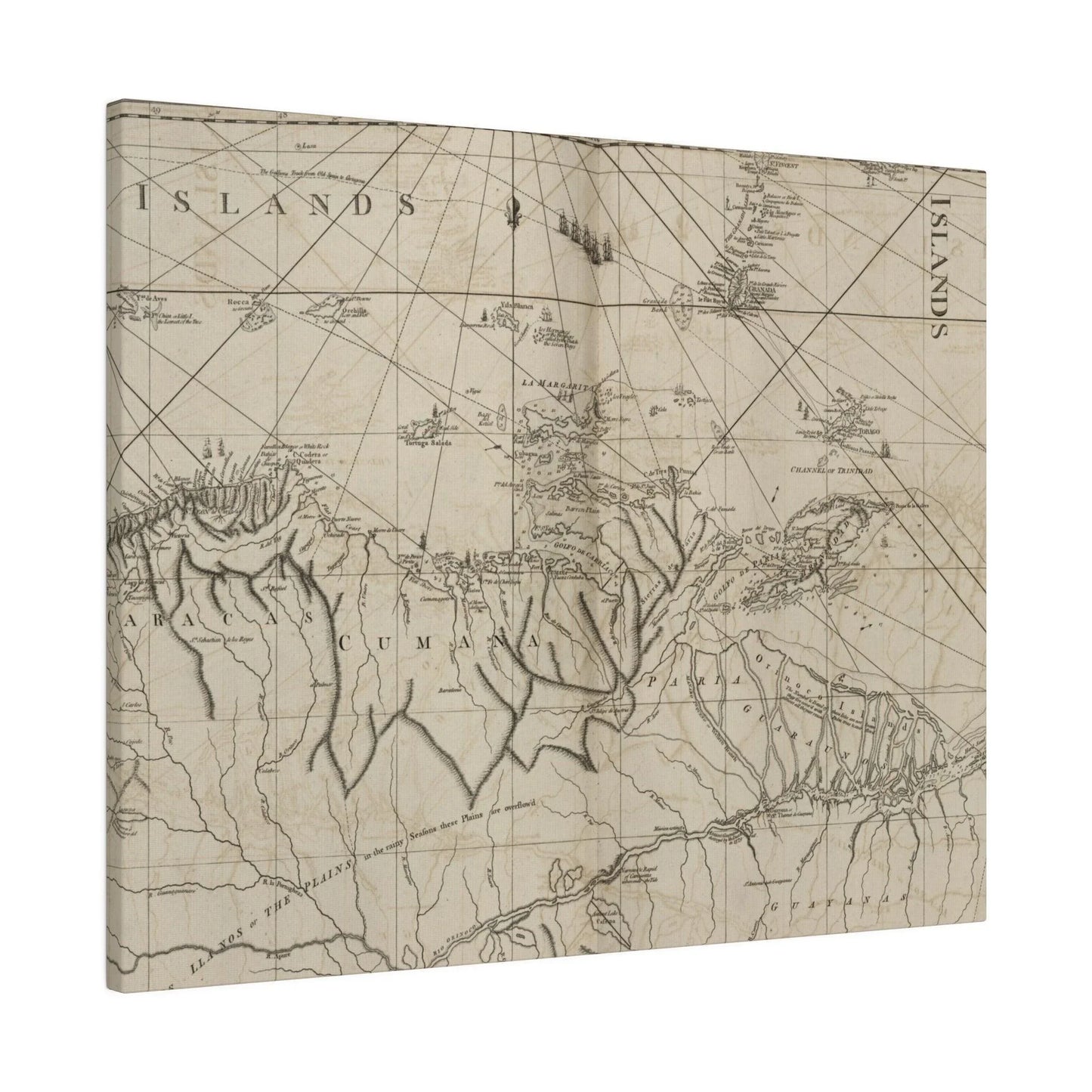 Close-up of vibrant coastal landscape featuring rugged cliffs and calm waters at mouth of Rio Orinoco, showcasing detailed