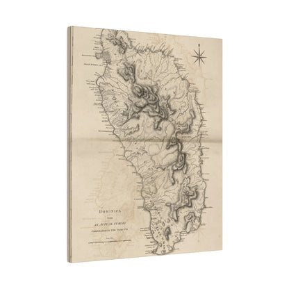 Close-up of the textured canvas material showing detailed fiber weave and matte finish in warm earthy tones.