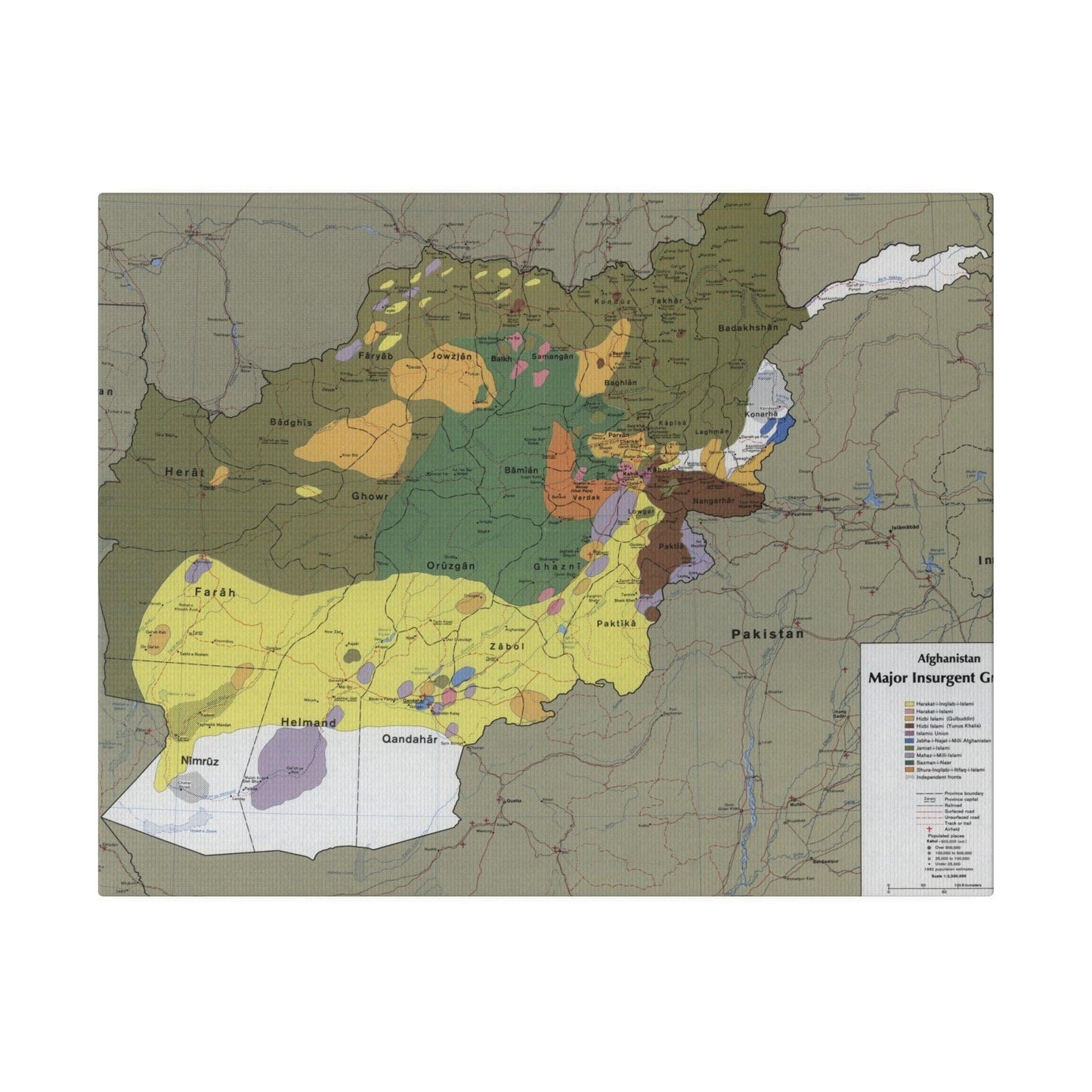 Close-up of canvas texture highlighting detailed brushstrokes and historical map elements on the Afghanistan insurgent