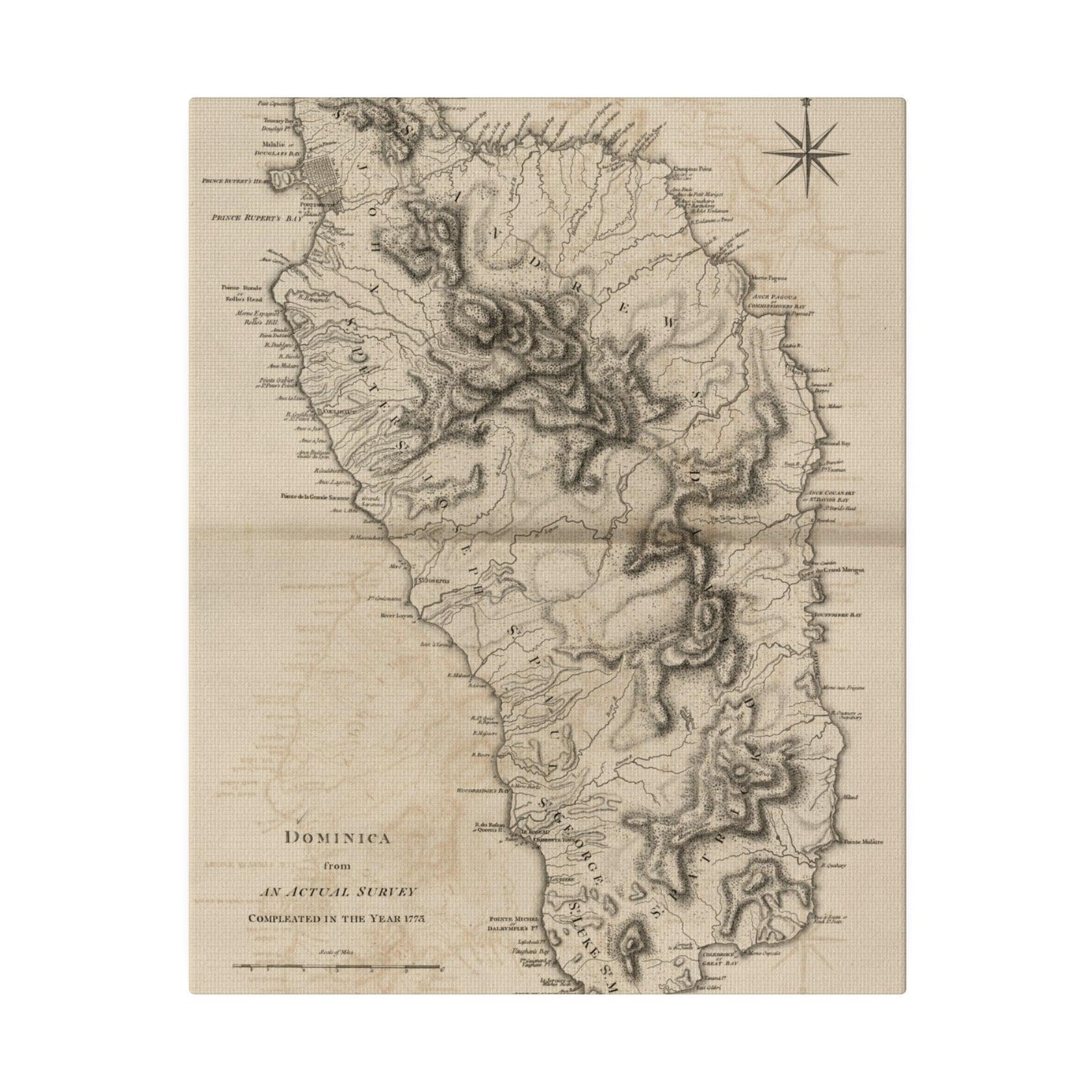 Close-up of the Dominica canvas texture highlighting fine weave and matte finish from a slight aerial angle.