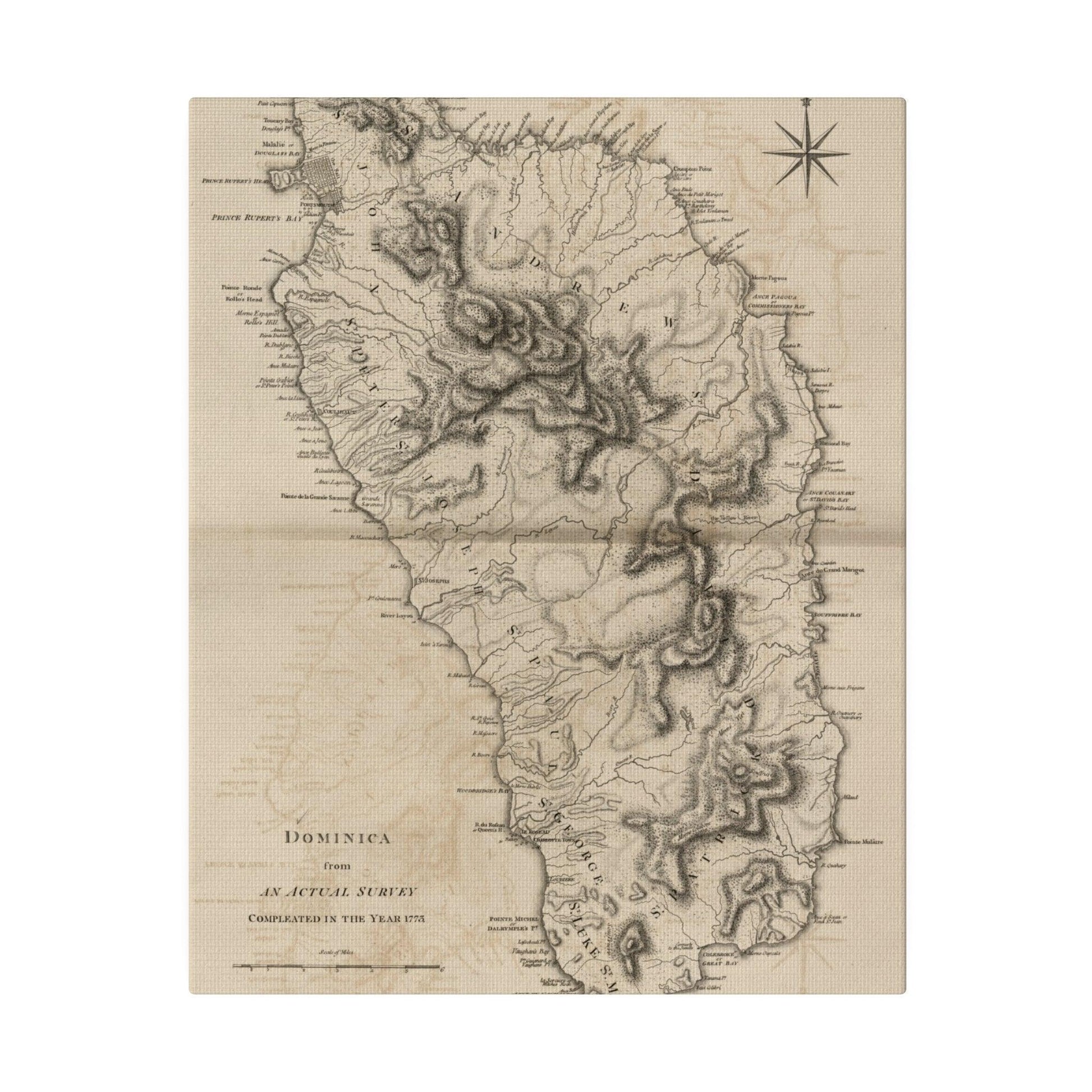 Close-up of the Dominica canvas texture highlighting fine weave and matte finish from a slight aerial angle.