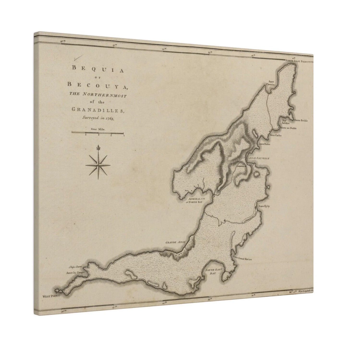 Close-up of textured canvas surface highlighting subtle fiber detail and matte finish in natural light