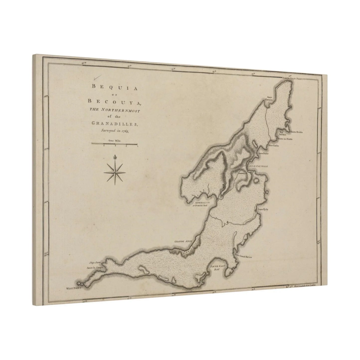 Close-up of textured canvas material highlighting the natural weave and matte finish of the Bequi or Becouya product from