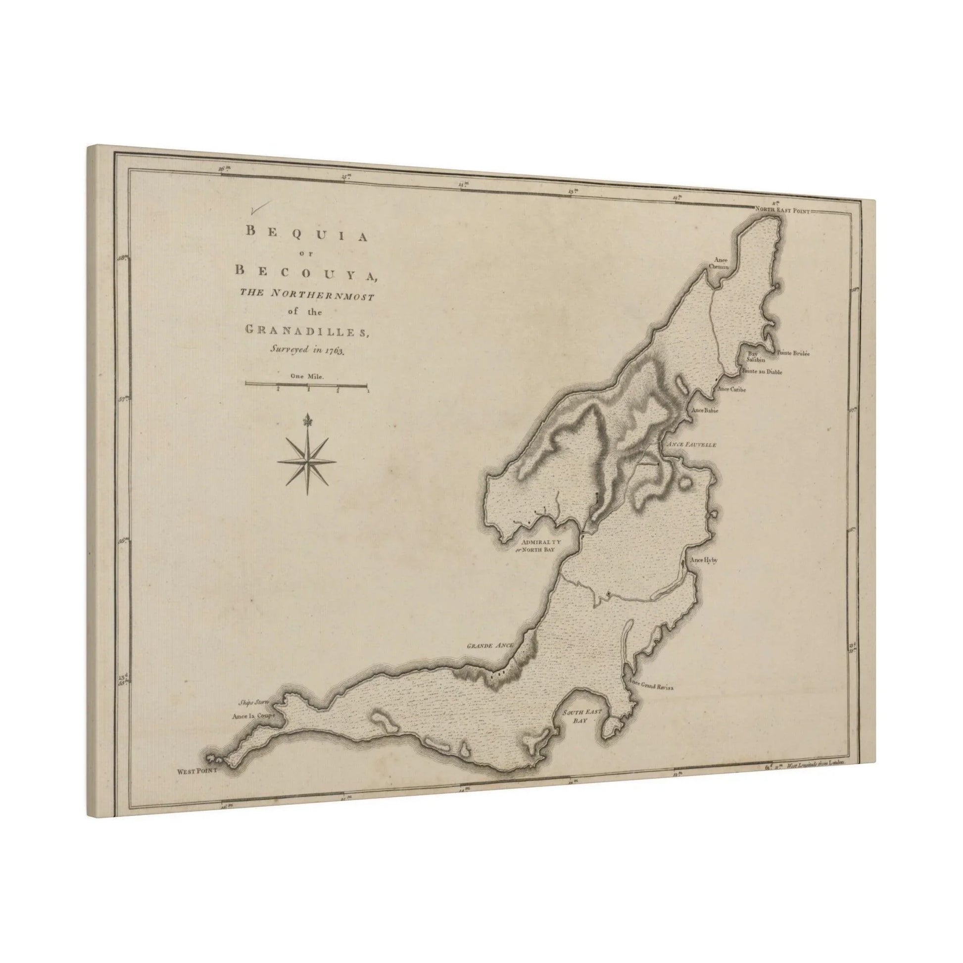 Close-up of textured canvas material highlighting the natural weave and matte finish of the Bequi or Becouya product from