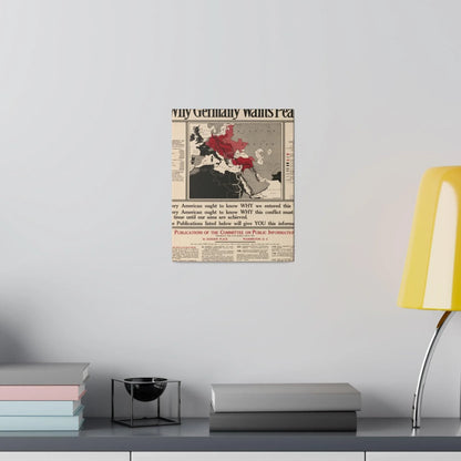 Why Germany Wants Peace 1917 - Pacific Sky Games