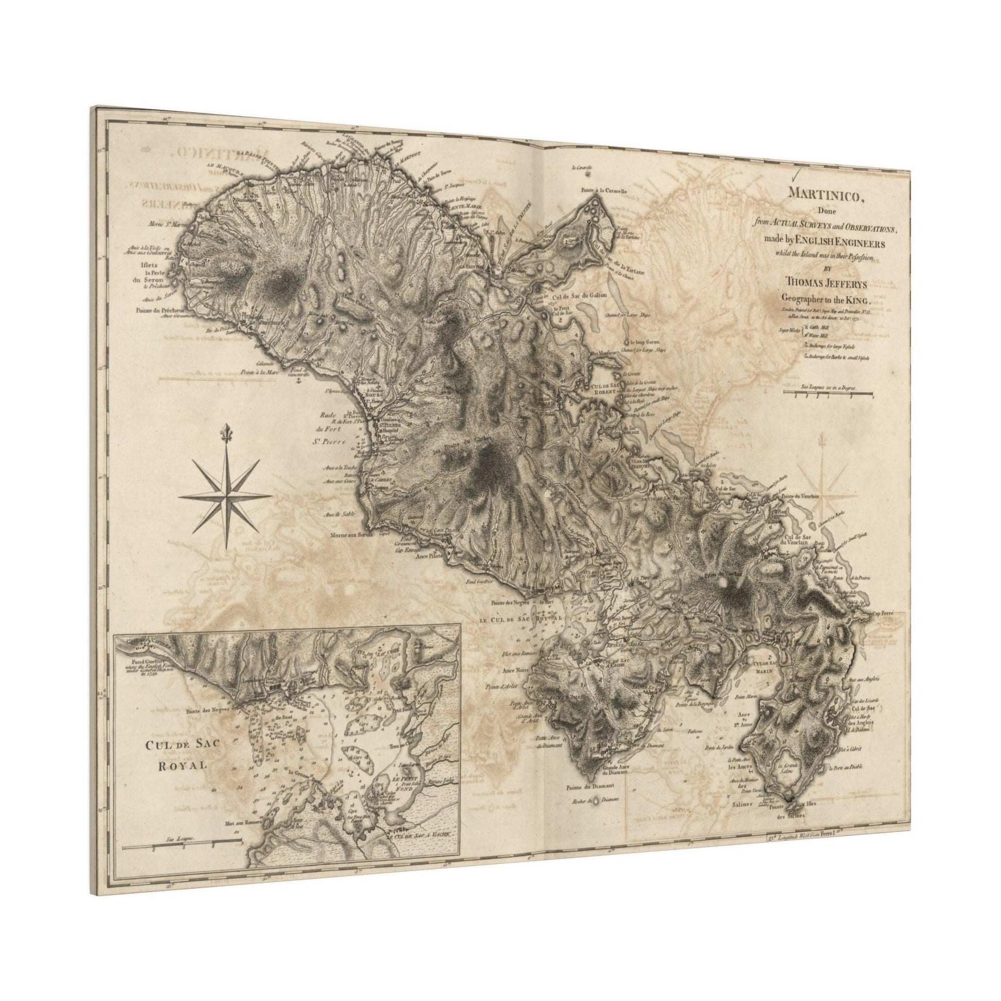 Close-up of the Martinico canvas fabric texture showcasing woven fibers and subtle natural tone variations.