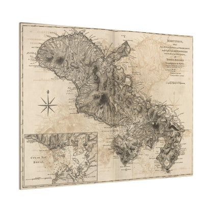 Close-up of the Martinico canvas fabric texture showcasing woven fibers and subtle natural tone variations.