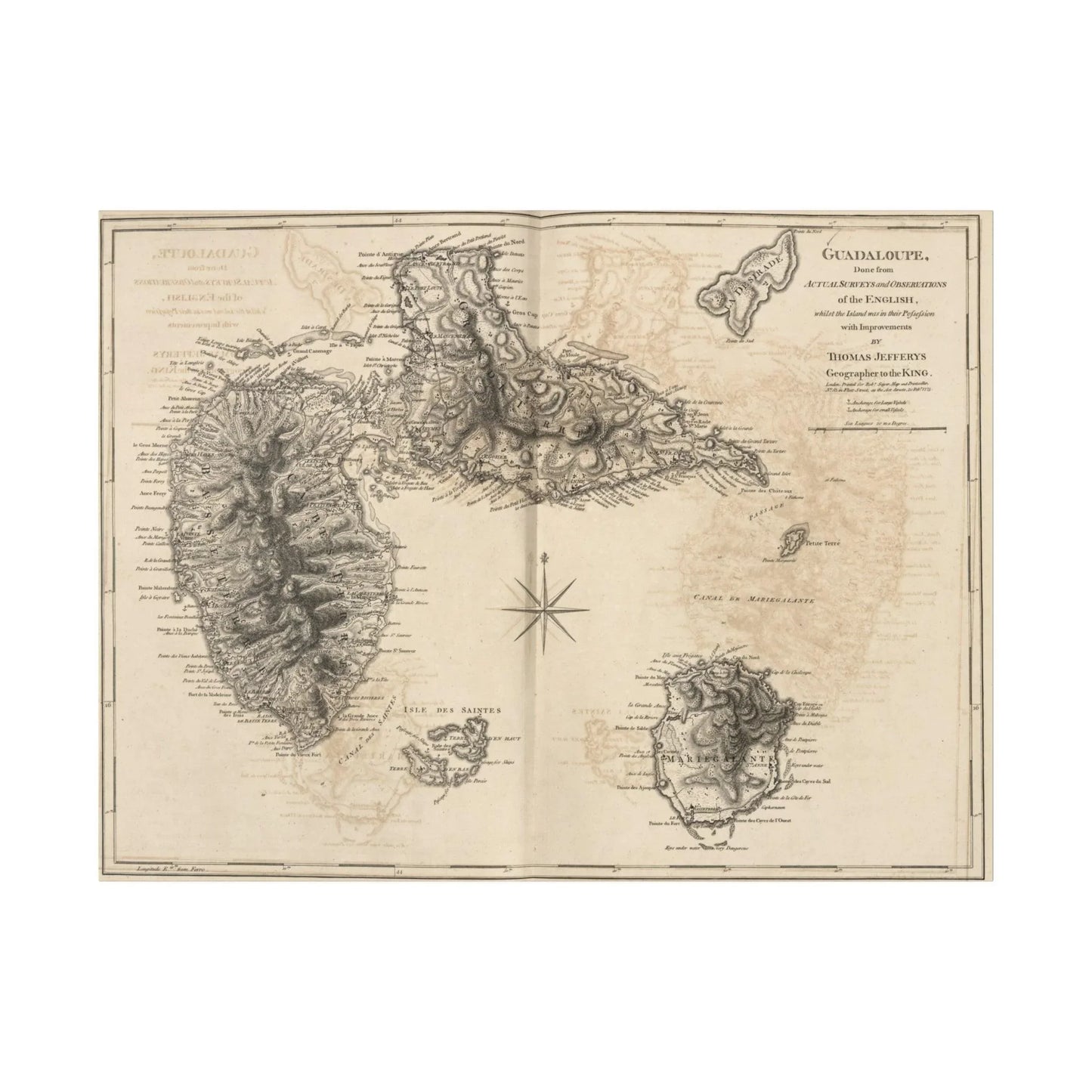 Guadaloupe canvas wall art featuring textured matte finish, eco-friendly wood frame, 24x36 inches, suitable for living room