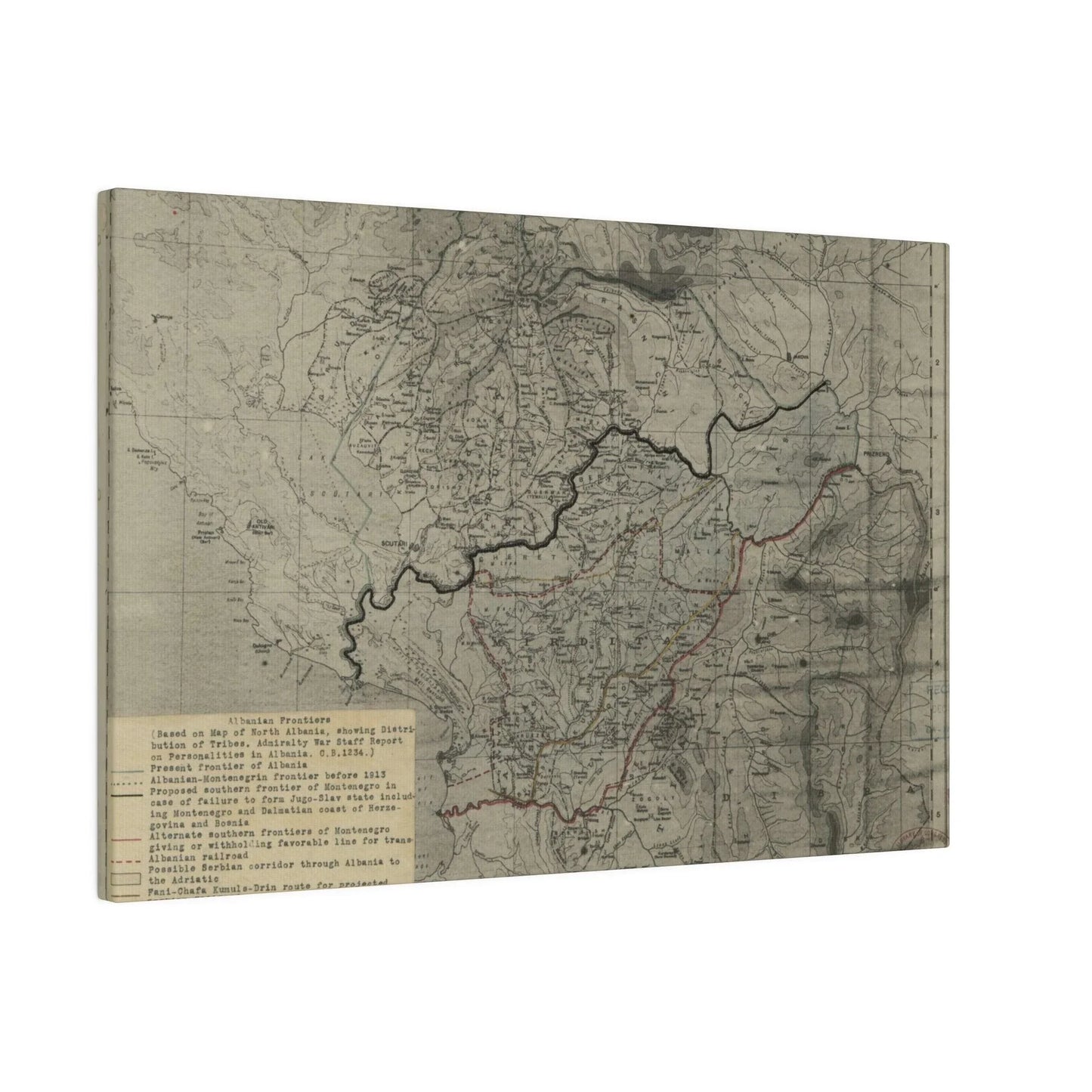 Close-up of the textured canvas surface highlighting aged appearance and subtle brushstroke details of the 1916 Albanian