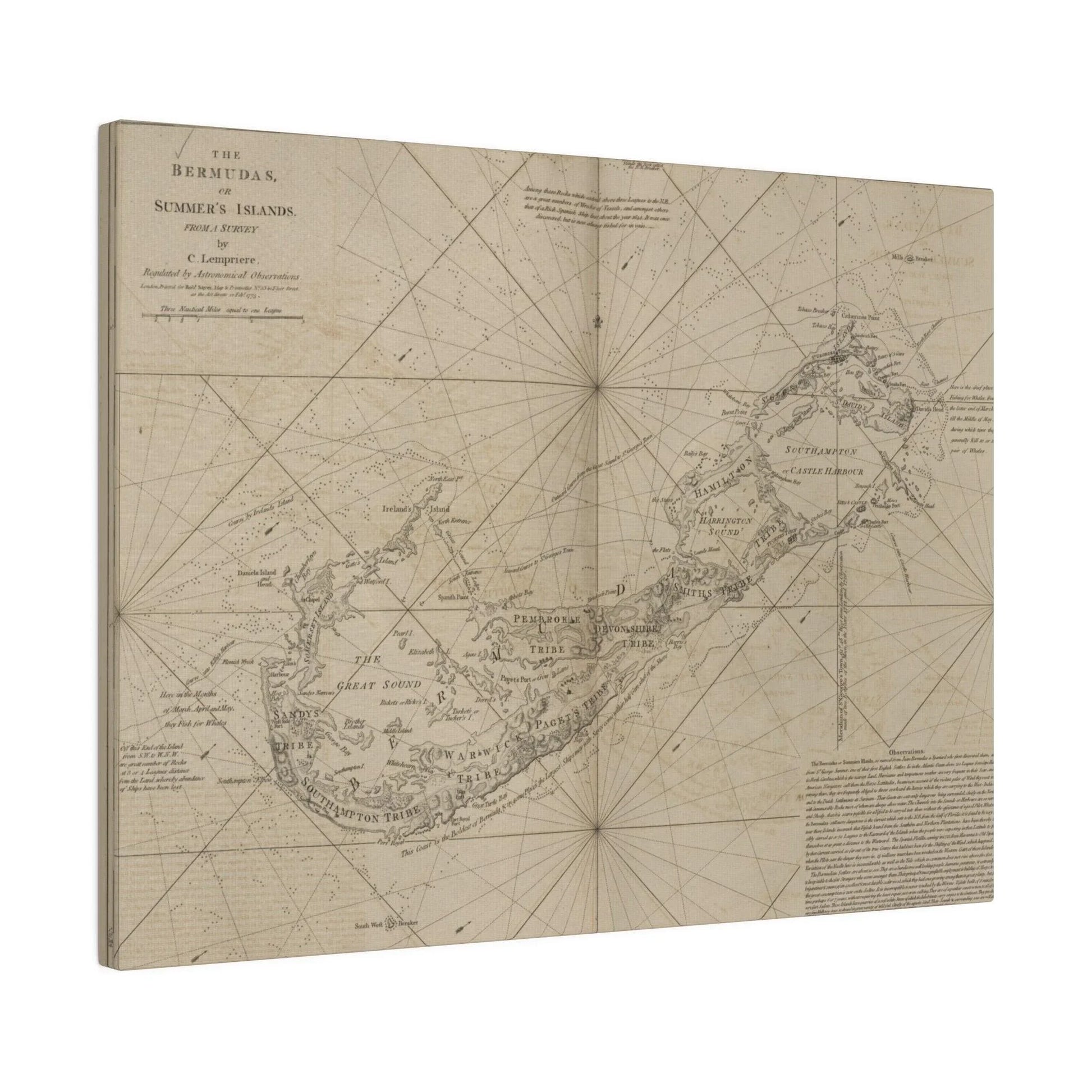 The Bermudas - Pacific Sky Games