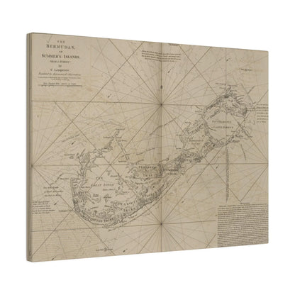 The Bermudas - Pacific Sky Games