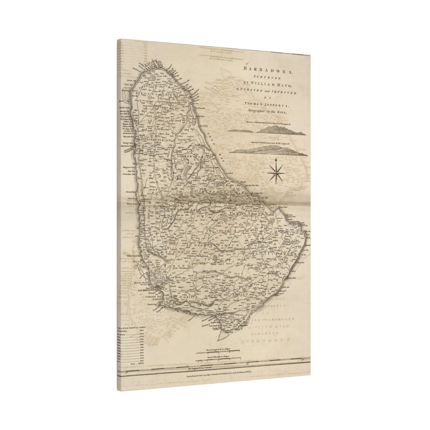 Close-up of the textured canvas material revealing subtle weave patterns and matte finish on the Barbadoes home decor piece.