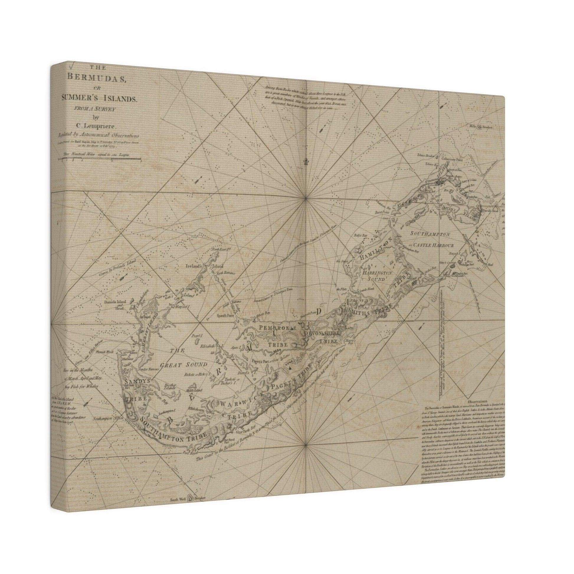 The Bermudas - Pacific Sky Games