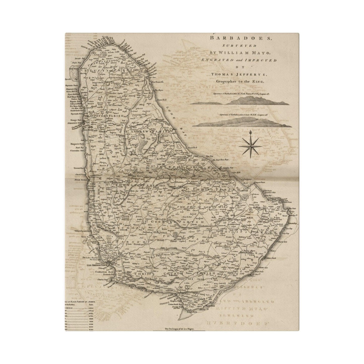 Close-up of the textured canvas fabric showing subtle weave details and matte finish in warm neutral tones