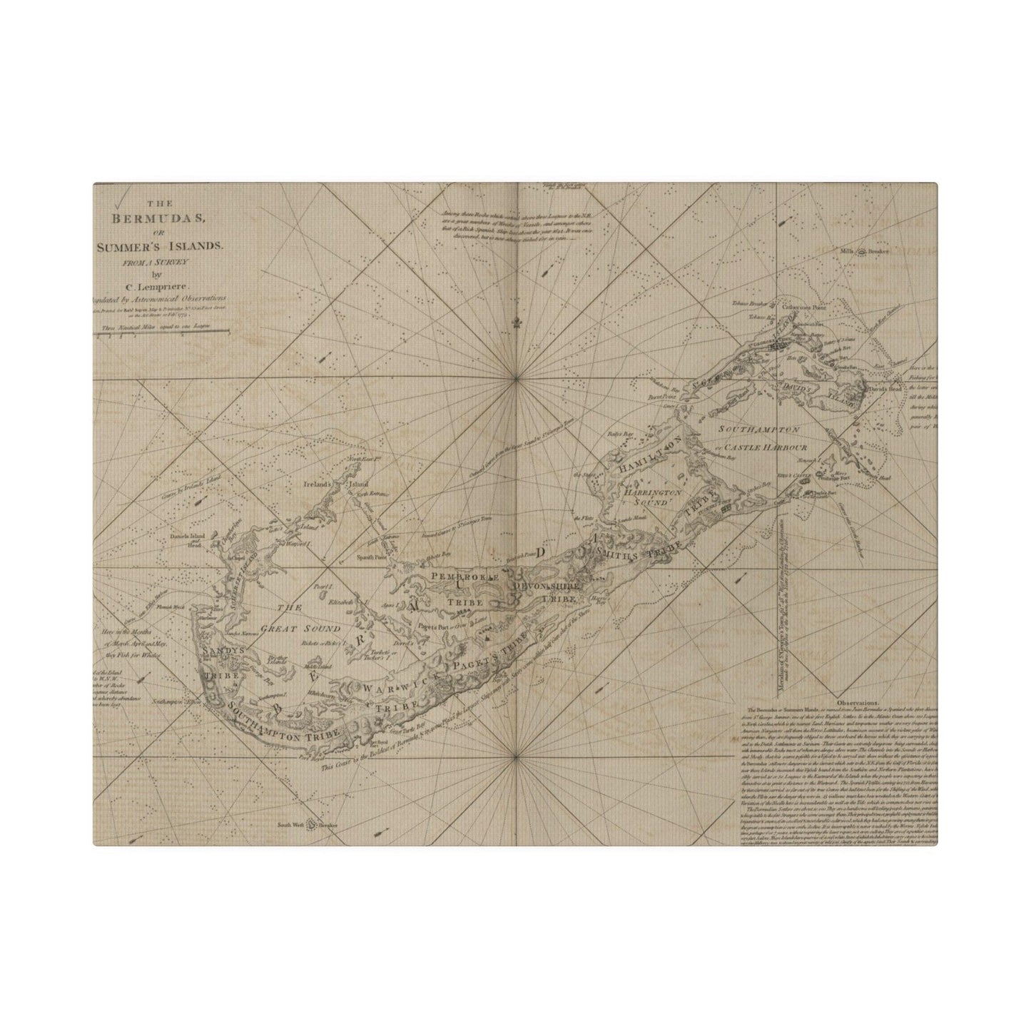 The Bermudas - Pacific Sky Games